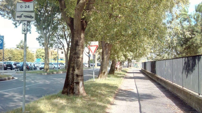 foto strada alberata ulefone armor x HDR
